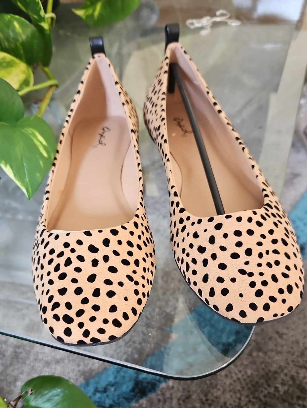 Qupid Pink and Black Dotted Ballet Flats